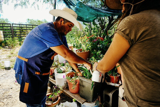 Female florist watering seedling in pot while male coworker using trowel at organic garden