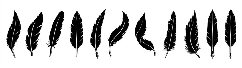 Feather vector silhouette set. Assorted detailed feathers silhouette graphic design