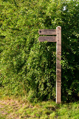 Wooden signpost in the park, England, UK