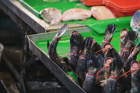 Fish shop of the traditional market - Taiwan
