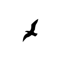 logo bird icon template vector design wings