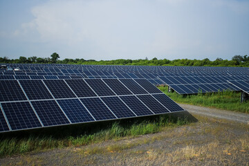 Rows of solar panels in a field. Natural energy