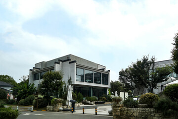 Fototapeta premium modern house in the park