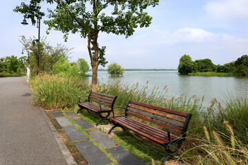Obraz premium bench on the lake