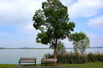 bench on the lake