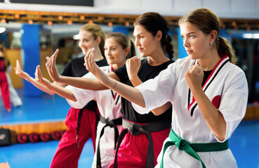Women in kimono doing kata exercises during their group karate training.