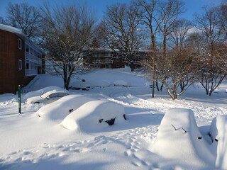 The University of Virginia winter snow landscape	
