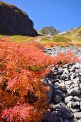Obraz premium 秋・紅葉の氷河公園 槍ヶ岳