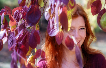 Beautiful sexy lovely young foxy, fiery red-haired girl, hidden behind violet lilac autumn leaves,...