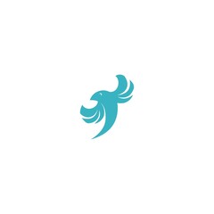 Fototapeta na wymiar logo bird icon template vector design wings