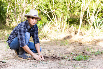 Men who are growing vegetables