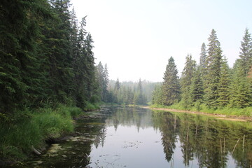 Looking Down The Haze, MacTaggart Sanctuary, Edmonton, Alberta