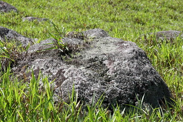 Boulders in a field in the Intag Valley, outside of Apuela, Ecuador