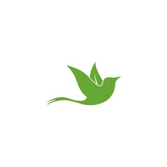 logo bird icon template vector design wings