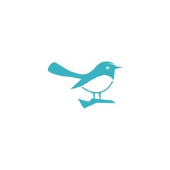 logo bird icon template vector design wings