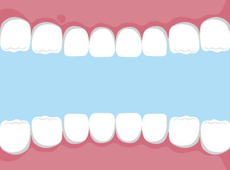 Dental care and Orthodontic Concept, Human Oral Cavity, Inside an Open Mouth, Jaw with Teeth Inside View, Healthy Teeth