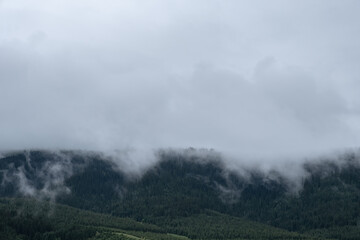 Mountains with green spruce forest and misty clouds.. Nature landscape background.