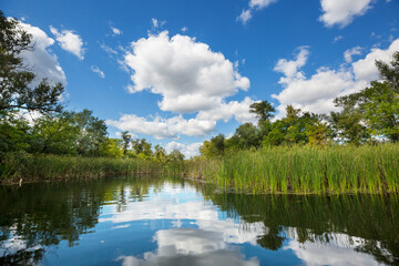 Fototapeta premium Summer river