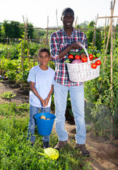 Fototapeta premium Portrait farmer and son with harvest of tomatoes, bell pepers and parsley from the garden. High quality photo