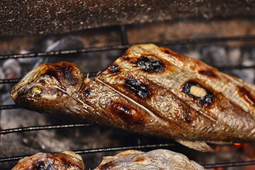  trout in the tray in oven