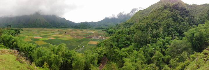 Perfect mountain summit scenery in Sembalun Lombok Indonesia