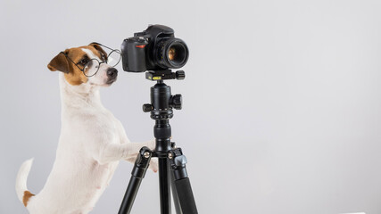 Dog jack russell terrier with glasses takes pictures on a camera on a tripod on a white background