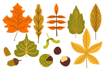 A collection of fallen autumn leaves of different shapes and colors. Autumn background, a poster with colorful leaves. Seasonal autumn elements for creating postcards, invitations. Cartoon flat style