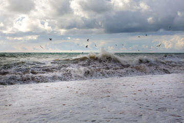 Birds fly over the sea during a storm