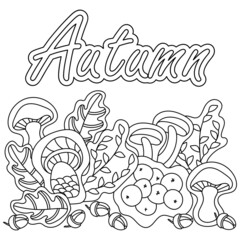 Border in doodle style. Autumn Black and white background. Coloring book pages Forest mushrooms, Acorns and oak leaves. Hand drawn vector collection.