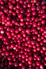 Wild berries in a wooden bowl. Northern berry: lingonberry, blueberry, cranberry.