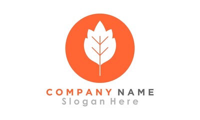 nature plant leaf logo design