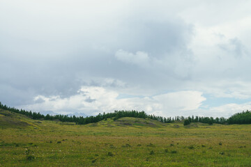 Fototapeta premium Beautiful green scenery with forest edge on hills under cloudy sky. Atmospheric landscape with forest hills and silhouettes of mountains on horizon in cloudy sky. Cloudiness weather in mountains.