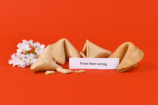 Motivational concept with note saying 'Prove them wrong' with fortune cookies with flowers on red background