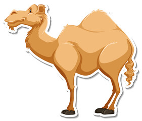 A sticker template of camel cartoon character