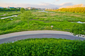The bicycle lane at river park in Daejeon city, South Korea.