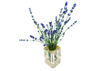 A bouquet of blue lavender flowers in a glass vase on a white background. Lavandula angustifolia. A vase for flowers. Template for text. Background image. White background.
