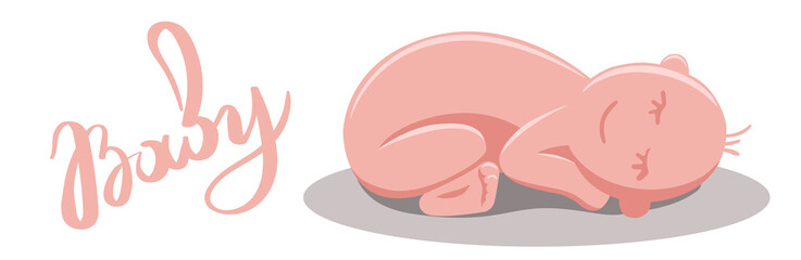 A newborn baby curled up in a ball on his stomach. Lettering words baby, Isolated illustration on a white background.