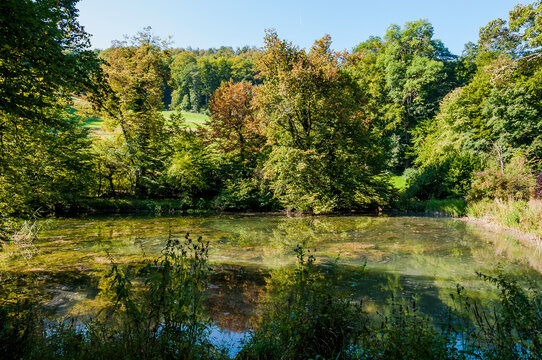 Arlesheim, Ermitage, Oberer Weiher, Weiher, Seerose, See, Baselland, Waldweg, Wanderweg, Spazierweg, Ausflugsort, Kraftort, Sommer, Schweiz
