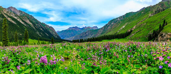 Naklejka na ściany i meble Majestic mountains and beautiful flowers with green grassland in Xiata Scenic Area,Xinjiang,China.