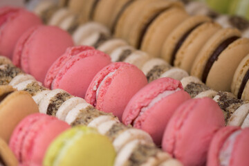 Multi-coloured macarons 