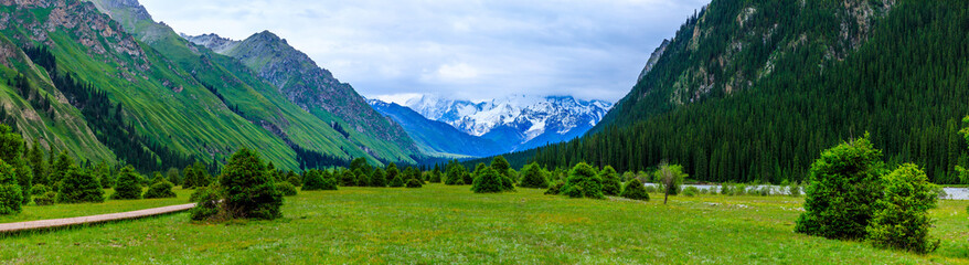 Fototapeta na wymiar Green grassland and white glaciers natural scenery in Xinjiang,China.