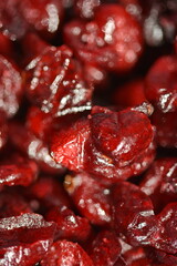 Organic Red Dried Cranberries
