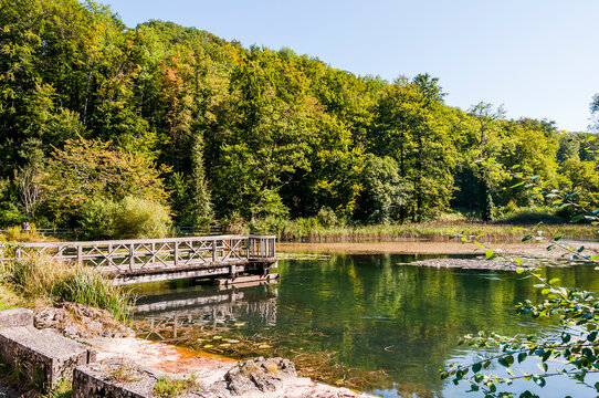 Arlesheim, Ermitage, Weiher, Seerose, See, Holzsteg, Baselland, Waldweg, Wanderweg, Spazierweg, Ausflugsort, Kraftort, Karpfen, Karpfenweiher, Sommer, Schweiz