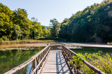 Obraz premium Arlesheim, Ermitage, Weiher, Seerose, See, Holzsteg, Baselland, Waldweg, Wanderweg, Spazierweg, Ausflugsort, Kraftort, Karpfen, Karpfenweiher, Sommer, Schweiz