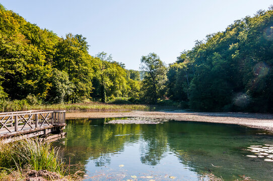 Arlesheim, Ermitage, Weiher, Seerose, See, Holzsteg, Baselland, Waldweg, Wanderweg, Spazierweg, Ausflugsort, Kraftort, Karpfen, Karpfenweiher, Sommer, Schweiz