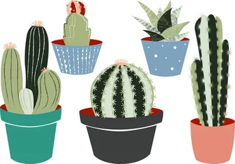 Papier Peint photo Cactus en pot Collection de cactus et plantes grasses dans des pots colorés