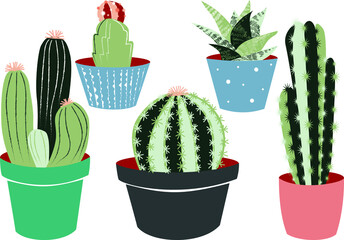Collectie cactussen en vetplanten in gekleurde potten
