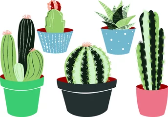 Zelfklevend Fotobehang Cactus in pot Collectie cactussen en vetplanten in gekleurde potten