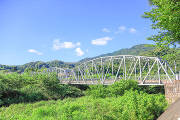 bridge over the river