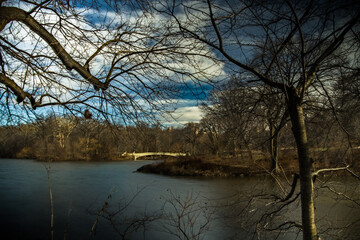 
Vista del Bow Bridge Central Park. New York, USA